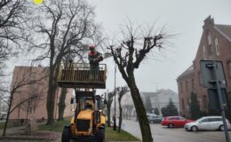 Ruszyły prace ogrodnicze w mieście
