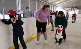 Ferie na sportowo – na lodowisku i na hali