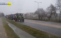 Rolnicy na ulicach Działdowa – ponad 200 ciągników