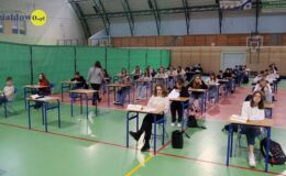 Takich mamy mistrzów języka polskiego