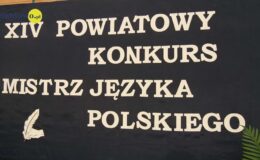 14. Powiatowy Konkurs „Mistrz Języka Polskiego” w SP 2 w Działdowie