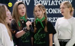 14. Powiatowy Konkurs „Mistrz Języka Polskiego” w SP 2 w Działdowie