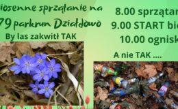 plakat informujący o wiosennym sprzątaniu na 279 Parkrun Działdowo