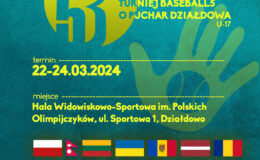 plakat informujący o II Międzynarodowy Turniej Baseball5 o Puchar Działdowa