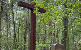 Dzień Ziemi – z tej okazji młodzież sprzątała las