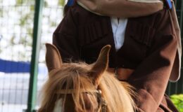 Piknik historyczny i inscenizacja historyczna – Starcie powstańców styczniowych pod Przełękiem i Kieńczewem z 31 marca 1864 roku