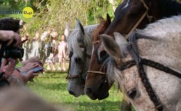 Piknik historyczny i inscenizacja historyczna – Starcie powstańców styczniowych pod Przełękiem i Kieńczewem z 31 marca 1864 roku