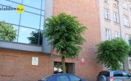 budynek i tabliczka z napisem Prokuratura Rejonowa w Działdowie