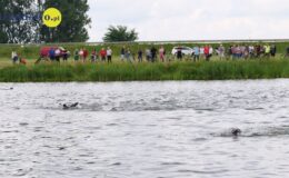 Hoffer Triathlon Działdowo 2024