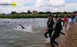 Hoffer Triathlon Działdowo 2024