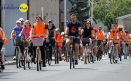 grupa osób jedzie na rowerach drogą