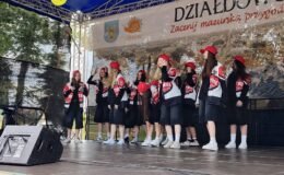 Takie były atrakcje z okazji Dani Dziecka