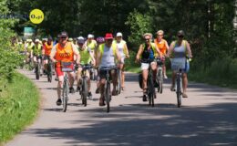 grupa rowerzystów, poruszająca się drogą