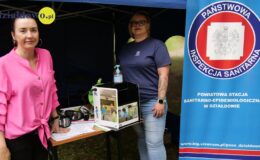 Piknik rodzinny Bezpieczne wakacje 2024