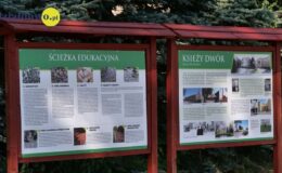 „Bajkowa Strefa Relaksu” – nowe miejsce odpoczynku dla mieszkańców