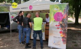 Jarmark i Zlot – muzycznie i oldsmobilowo na zakończenie wakacji