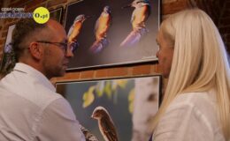 Zapraszamy do wejścia w piękny świat ptaków Marii Wilkowskiej – wyjątkowa wystawa w Galerii Akwarium