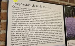 Wernisaż wystawy „Ptaki Warmii i Mazur”