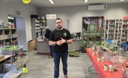Las w słoiku – pomysł na świąteczny prezent