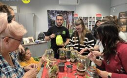 Las w słoiku – pomysł na świąteczny prezent