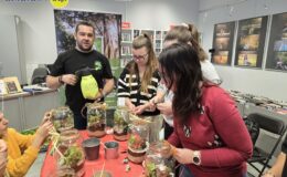 Las w słoiku – pomysł na świąteczny prezent