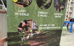 Las w słoiku – pomysł na świąteczny prezent