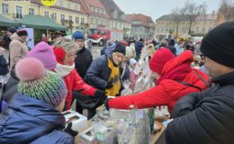 Jarmark Świąteczny i rozświetlenie choinki