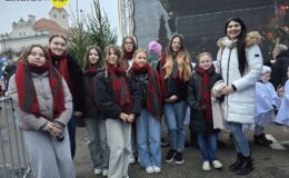 Jarmark Świąteczny i rozświetlenie choinki