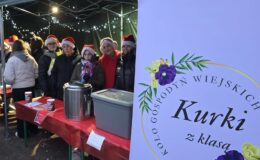 Jarmark Świąteczny i rozświetlenie choinki