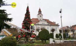 A w tym roku taka przepiękna choinka