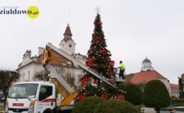 nowa choinka w Działdowie stoi przy ratuszu