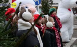 Jarmark Świąteczny i rozświetlenie choinki
