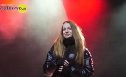 Jarmark Świąteczny i rozświetlenie choinki