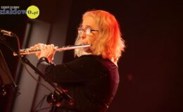 Koncert kolęd i pastorałek Państwowej Szkoły Muzycznej I st. im. Arno Kanta w Działdowie