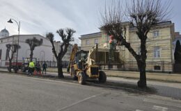 Trwają prace pielęgnacyjne drzew – wiosna coraz bliżej