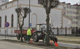 Miejska Służba Drogowa ruszyła w teren