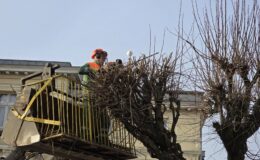 Miejska Służba Drogowa ruszyła w teren