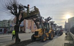 Miejska Służba Drogowa ruszyła w teren