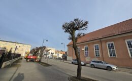 Miejska Służba Drogowa ruszyła w teren