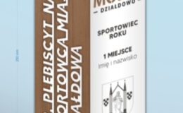 statuetka na Najpopularniejszego Sportowca Roku 2024