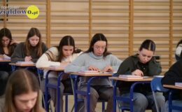 Takich mamy mistrzów języka polskiego