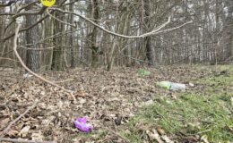 Akcja sprzątania lasu w Działdowie i Malinowie