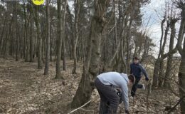 Akcja sprzątania lasu w Działdowie i Malinowie
