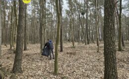 Akcja sprzątania lasu w Działdowie i Malinowie