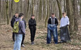 osoby sprzątające las