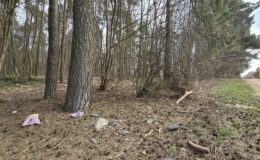 Akcja sprzątania lasu w Działdowie i Malinowie