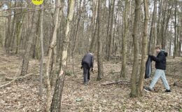 Akcja sprzątania lasu w Działdowie i Malinowie