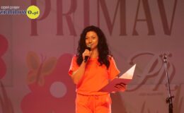 Koncert wiosenny uczniów, nauczycieli szkoły muzycznej i wyjątkowych gości w MDK w Działdowie
