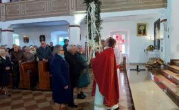 Palma w darze od seniorów