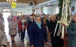 Palma w darze od seniorów